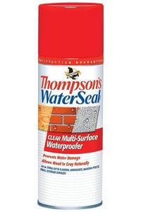 Thompsons TH.010100-18 Aerosol-Best spray paint for waterproofing wood