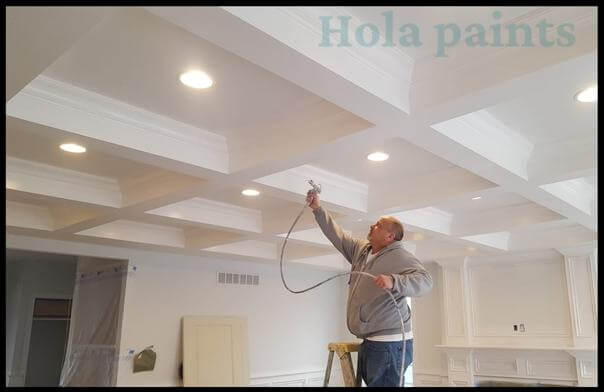 Ceiling Paint Sprayer
