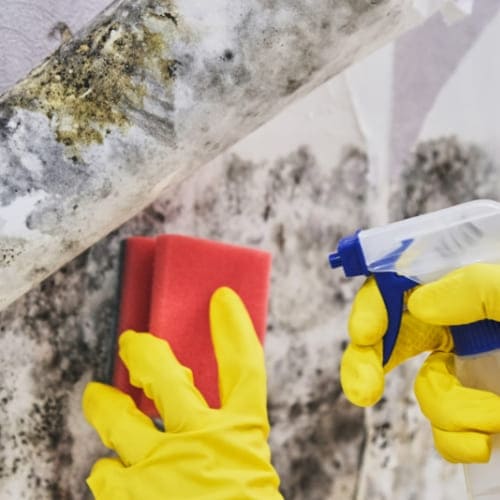 Treat mold before painting
